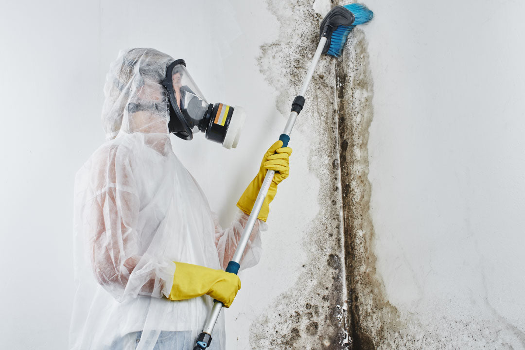 Handling Mold Exposure Basics: Binders and Tips